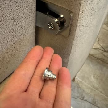 Bellona Oturma Grubunda Menteşe Sorunu