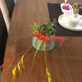 Yanıltıcı Görsellerle Gelen Hayal Kırıklığı