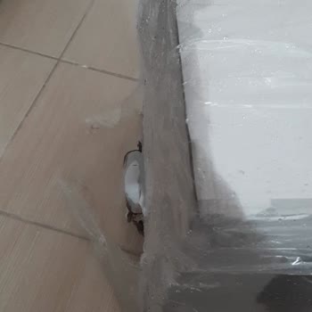 Teslimat Sorunu Ve Hasarlı Kargo