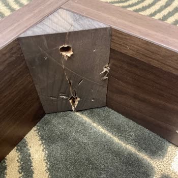 Enza Home'dan Aldığımız Masa İçin Uzun Süreli Çözüm Bekleyişi Ve Güven Sorunu