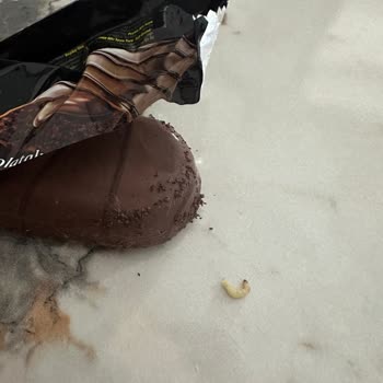 Browni Ürünü İçinden Çıkan Kurt Şoku
