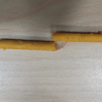 Crax'ta Beklenmedik Plastik Tehlikesi