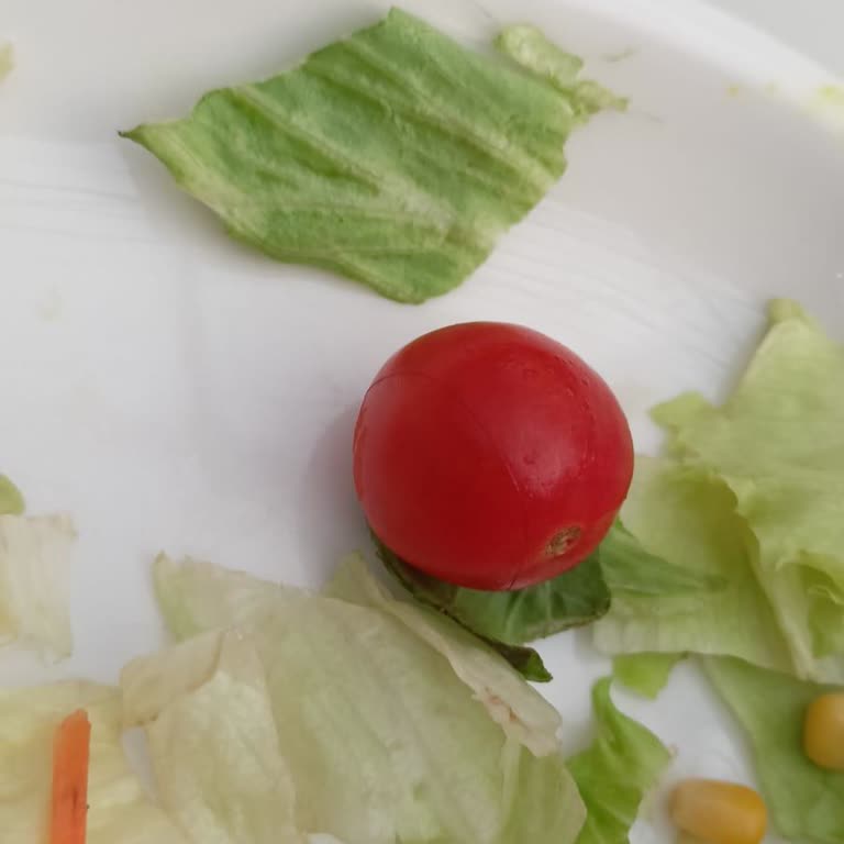 Tavuk Dünyası'nda Hijyen Sorunu: Salatada Saç Şoku