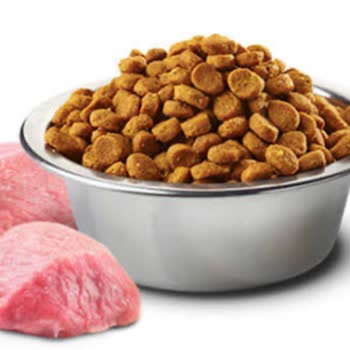 Yanıltıcı Ürün Ve Yetersiz Müşteri Hizmeti: Mamacı Teyze'den Gelen Sahte Kedi Maması