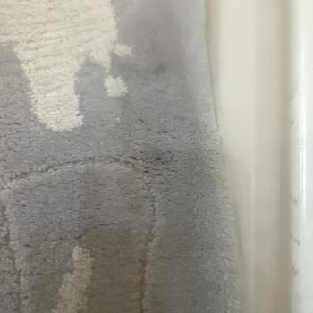 Yıkanmayan Halılar Ve Eksik Hizmet