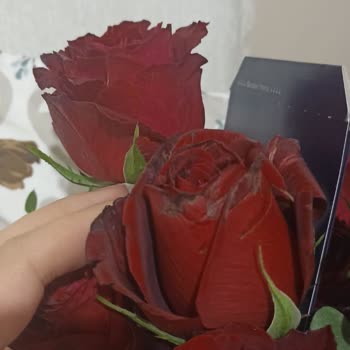 Çiçek Sepeti Eksik Ve Özensiz Teslimat