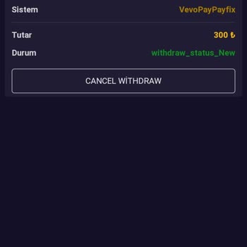 Çekim İşlemlerinde Yaşanan Sorunlar Ve İletişim Problemleri