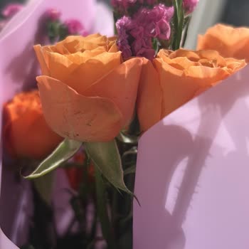 Sipariş Edilen Çiçekler Beklentileri Karşılamadı