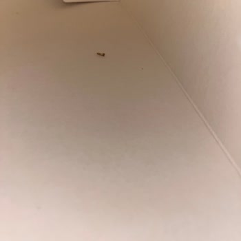 Güvenilir Markanın Şaşırtan Hatası