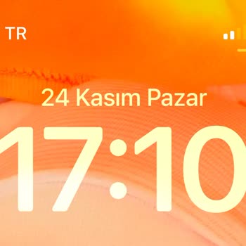 Penti'den 15 İş Günü Kargo Bekleyişi