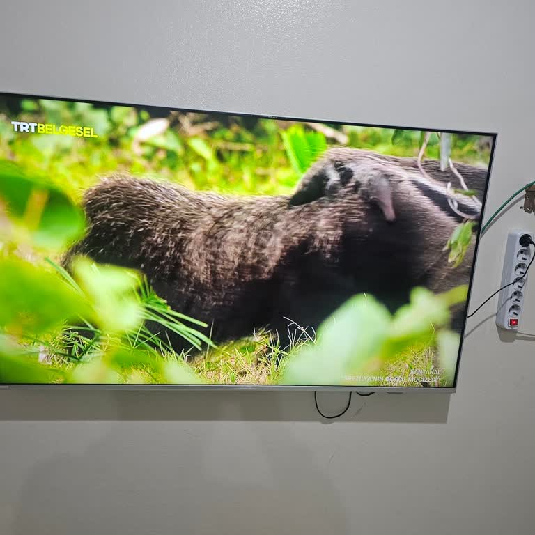 Philips TV'de TRT1 HD Yayın Sorunu