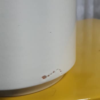 Özel Gün Hediyesinde Hayal Kırıklığı