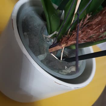 Özel Gün Hediyesinde Hayal Kırıklığı