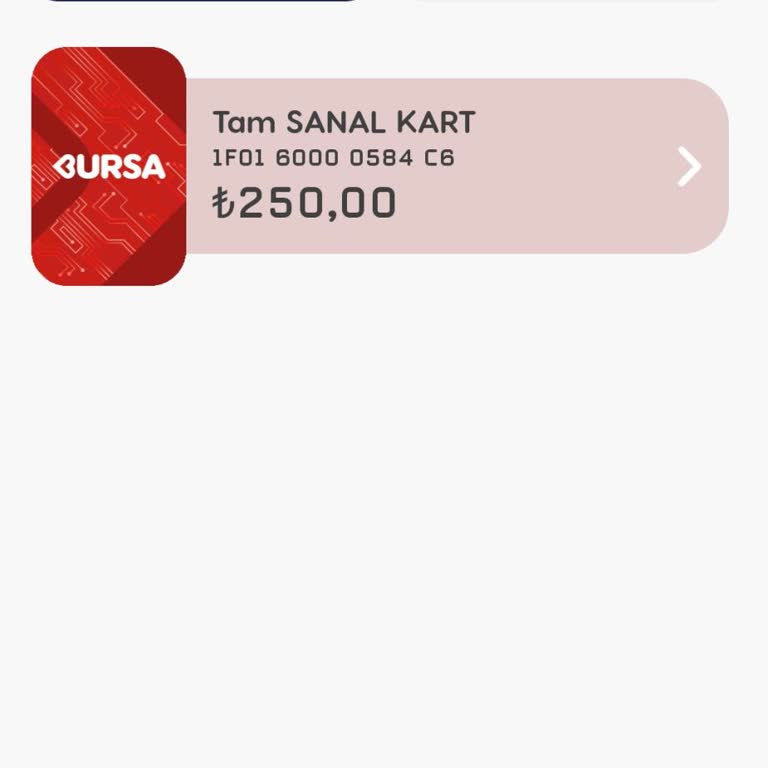 Bursa Kartımda Kayıp Bakiye Sorunu