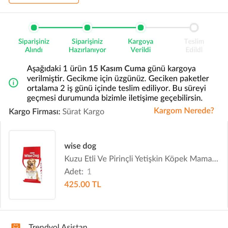Kargo Teslimatında Yaşanan Gecikmeler