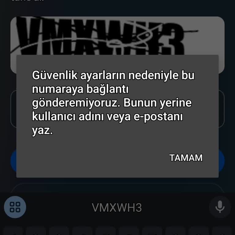 Instagram Hesaplarıma Erişemiyorum