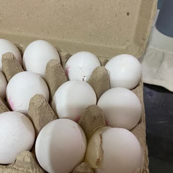 Yumurta Paketleme Sorunu Ve Müşteri Memnuniyetsizliği