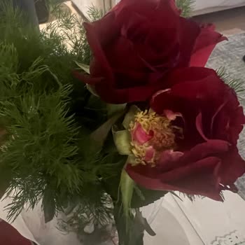 Çiçek Siparişi Hayal Kırıklığı