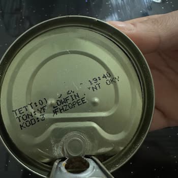 Dardanel Ton Ürününde Böcek Şoku: Hijyen Ve Güvenilirlik Sorunu