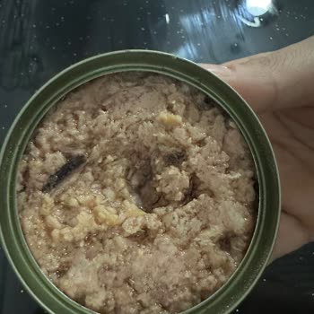 Dardanel Ton Ürününde Böcek Şoku: Hijyen Ve Güvenilirlik Sorunu