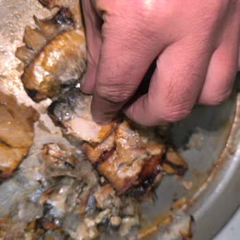 Dondurulmuş Balıkta Beklenmedik Sorunlar