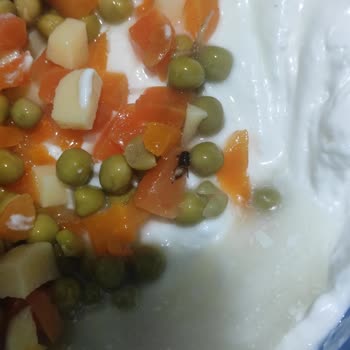 Tukaş Garnitürden Çıkan Böcek Şoku