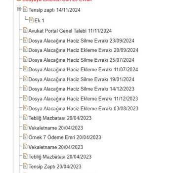 Birevim Bursa Şubesi'nde İcra Dosyası Sorunu Ve İletişim Eksikliği
