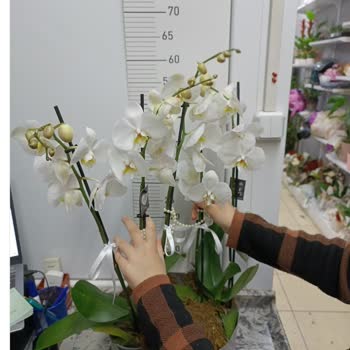 Sipariş İptali Ve Yanıltıcı Ürün Sunumu