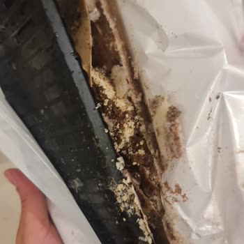 Mis Bozuk Ürün Sorunu: Dondurma Deneyimi