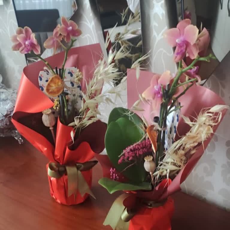 Öğretmenler Günü Orkide Siparişi Hayal Kırıklığı