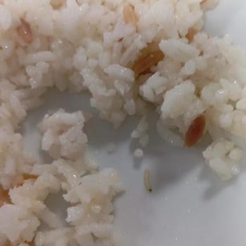 Yurtlarda Hijyen Sorunu Ve İlgisizlik