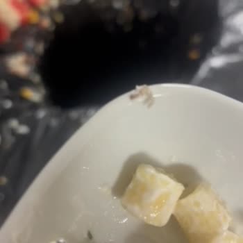 Yurtlarda Hijyen Sorunu Ve İlgisizlik