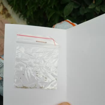 Tohum Pazarı'ndan Aldatıcı Tohum Satışı Ve İade Sorunu