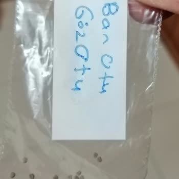 Tohum Pazarı'ndan Aldatıcı Tohum Satışı Ve İade Sorunu