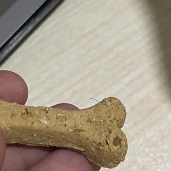 Köpek Bisküvisinde Hijyen Sorunu