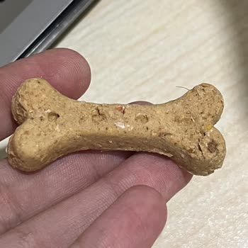 Köpek Bisküvisinde Hijyen Sorunu