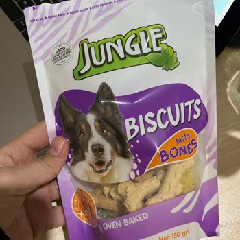 Köpek Bisküvisinde Hijyen Sorunu