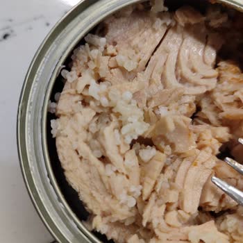 Ton Balığında Şok Edici Yabancı Madde!