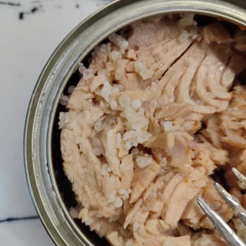 Ton Balığında Şok Edici Yabancı Madde!