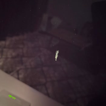 Samsung Oled Ekran Sorunu Ve Servis İlgisizliği