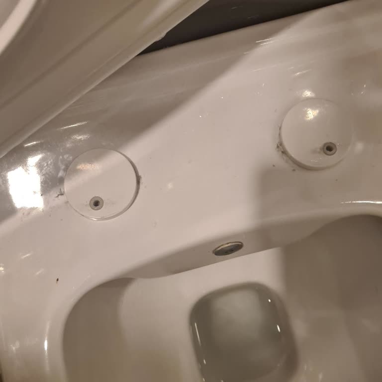 Bien Seramik Klozet Kapağı Menteşe Sorunu