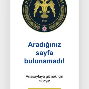 Başvuru Sürecinde Karşılaşılan Teknik Sorunlar