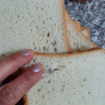 Küflü Tost Ekmeği Şoku