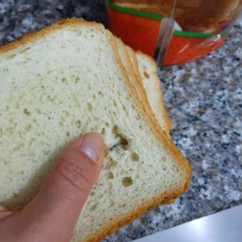 Küflü Tost Ekmeği Şoku