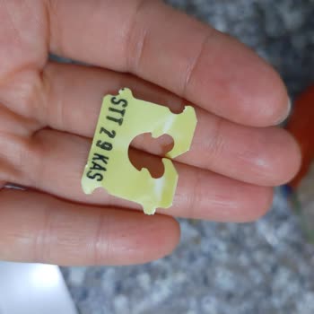 Küflü Tost Ekmeği Şoku