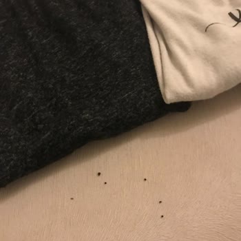 Penti'den Aldığım Pijama Takımları Hayal Kırıklığı Yarattı