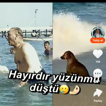 Kwai Platformunda Saygısız İçerikler