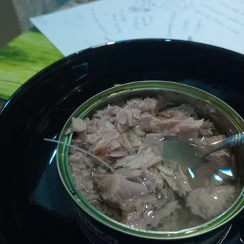 Ton Balığında Büyük Kılçık Şoku