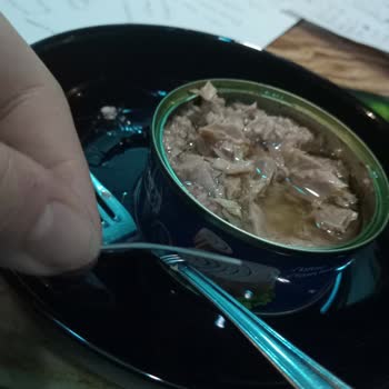 Ton Balığında Büyük Kılçık Şoku