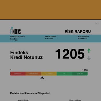 Findeks Puanındaki Ani Düşüşün Sebebi Nedir